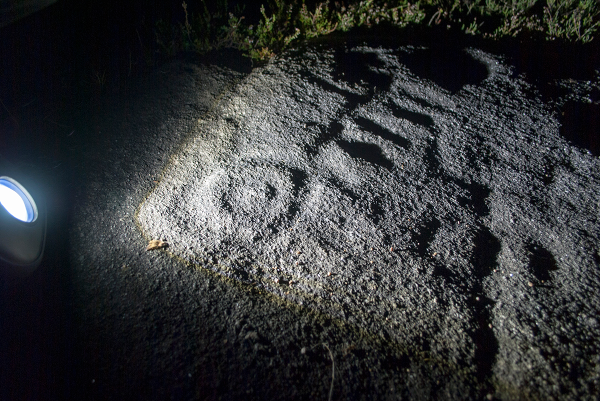 PetrosNoite_01