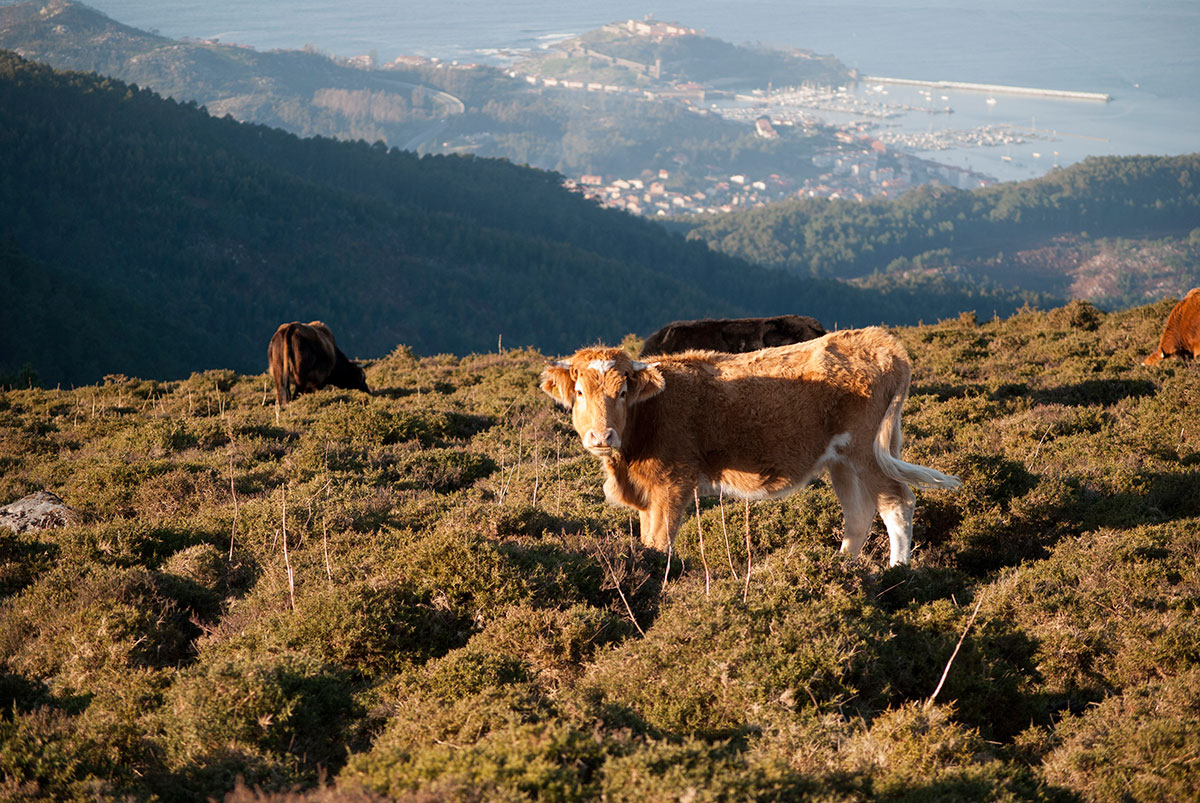 Serra-da-Groba-Espazo-Natural-4